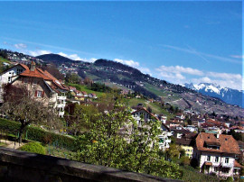 Lavaux.