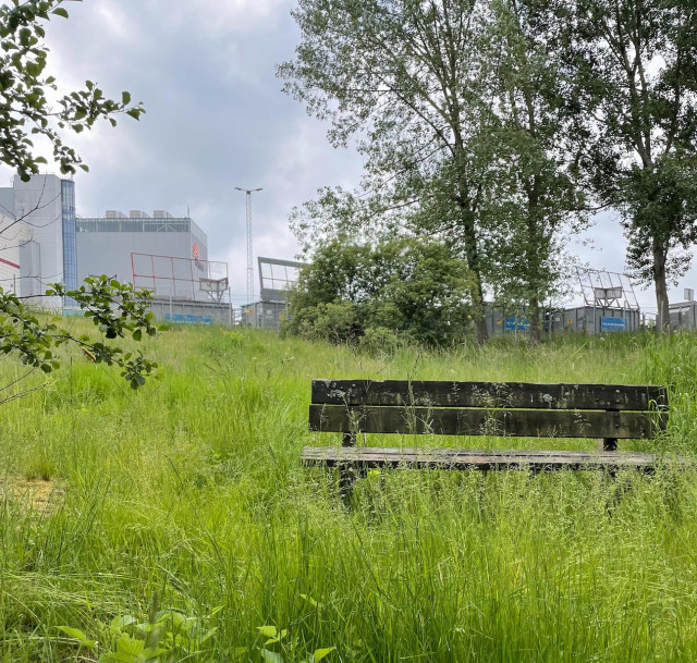 Industriområde i Göteborg lever upp med vildbin och sandbäddar.