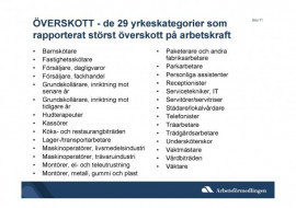 ÖVERSKOTT - de 29 yrkeskategorier som