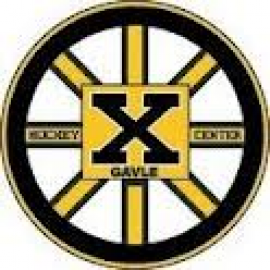 www.xhockeycenter.se