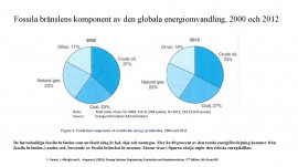 De huvudsakliga fossila bränslen som används idag är kol, olja och naturgas. Mer än 80 procent av den totala energiförsörjning kommer från fossila bränslen, i andra ord, beroende av fossila bränslen är enorma. Såsom visas i figuren råolja utg